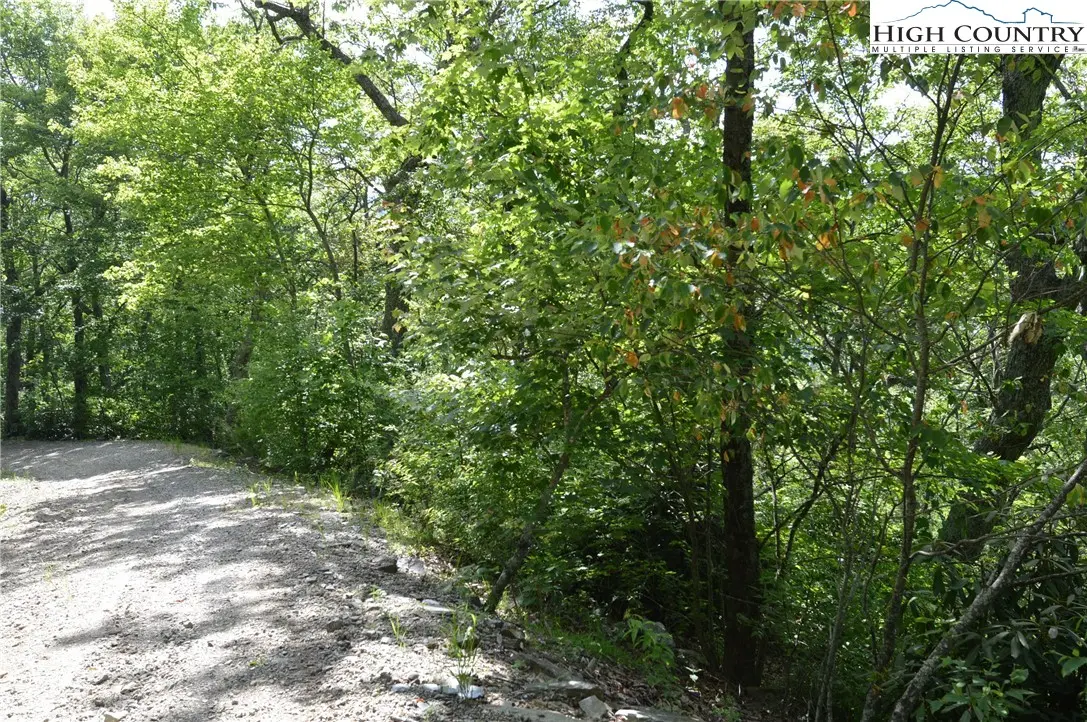 Image number 10 for the current listing