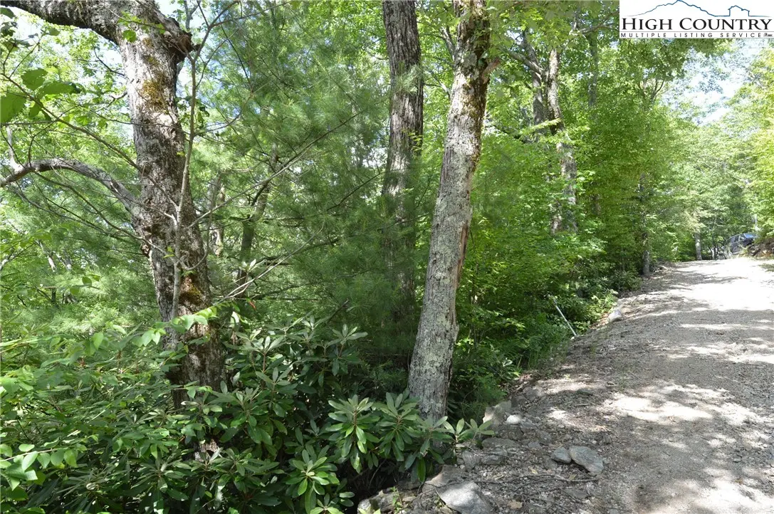 Image number 12 for the current listing