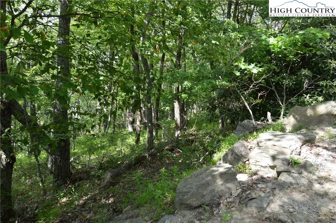 Image number 14 for the current listing