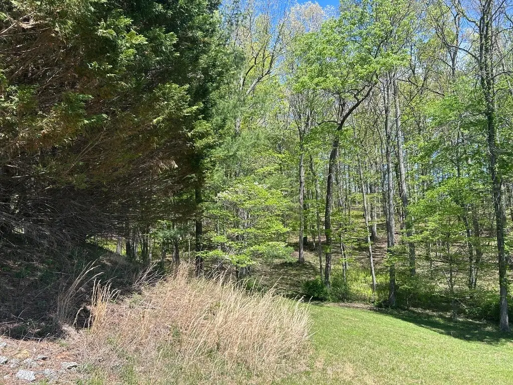 Image number 15 for the current listing