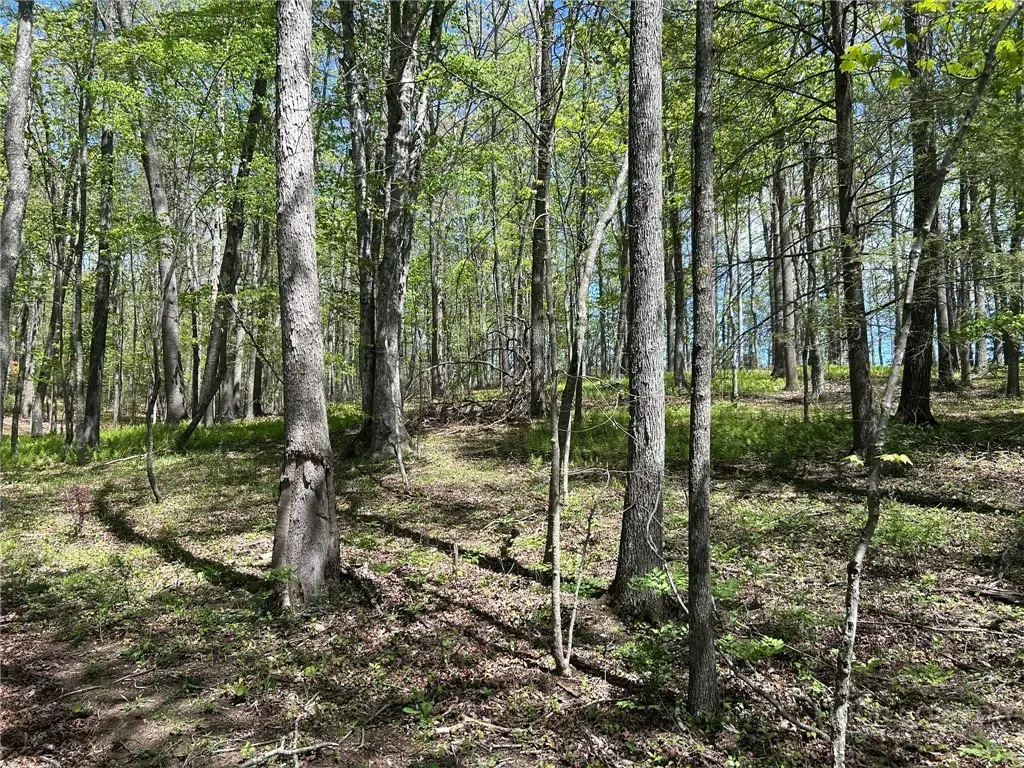 Image number 6 for the current listing