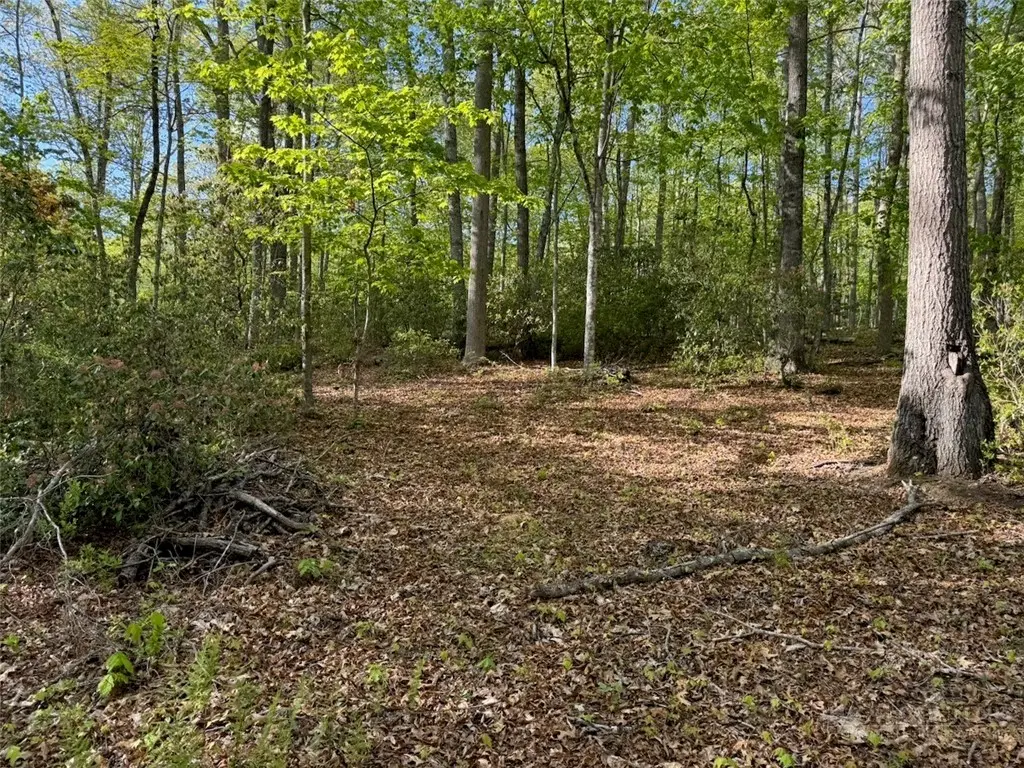 Image number 13 for the current listing