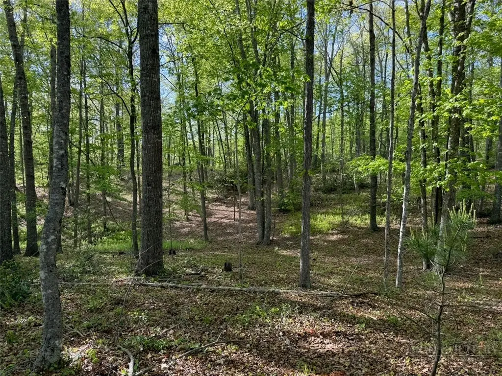 Image number 11 for the current listing