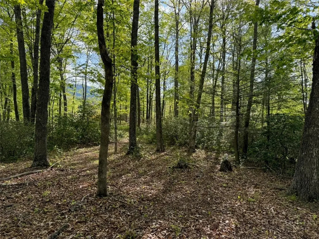 Image number 14 for the current listing
