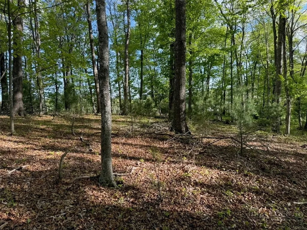 Image number 7 for the current listing