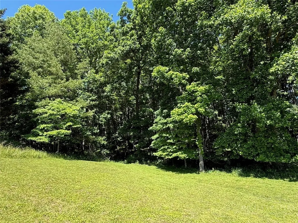 Image number 20 for the current listing
