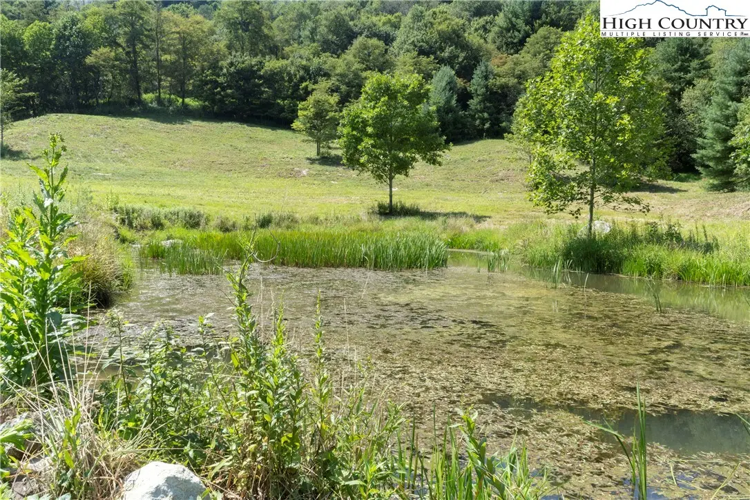 Image number 13 for the current listing