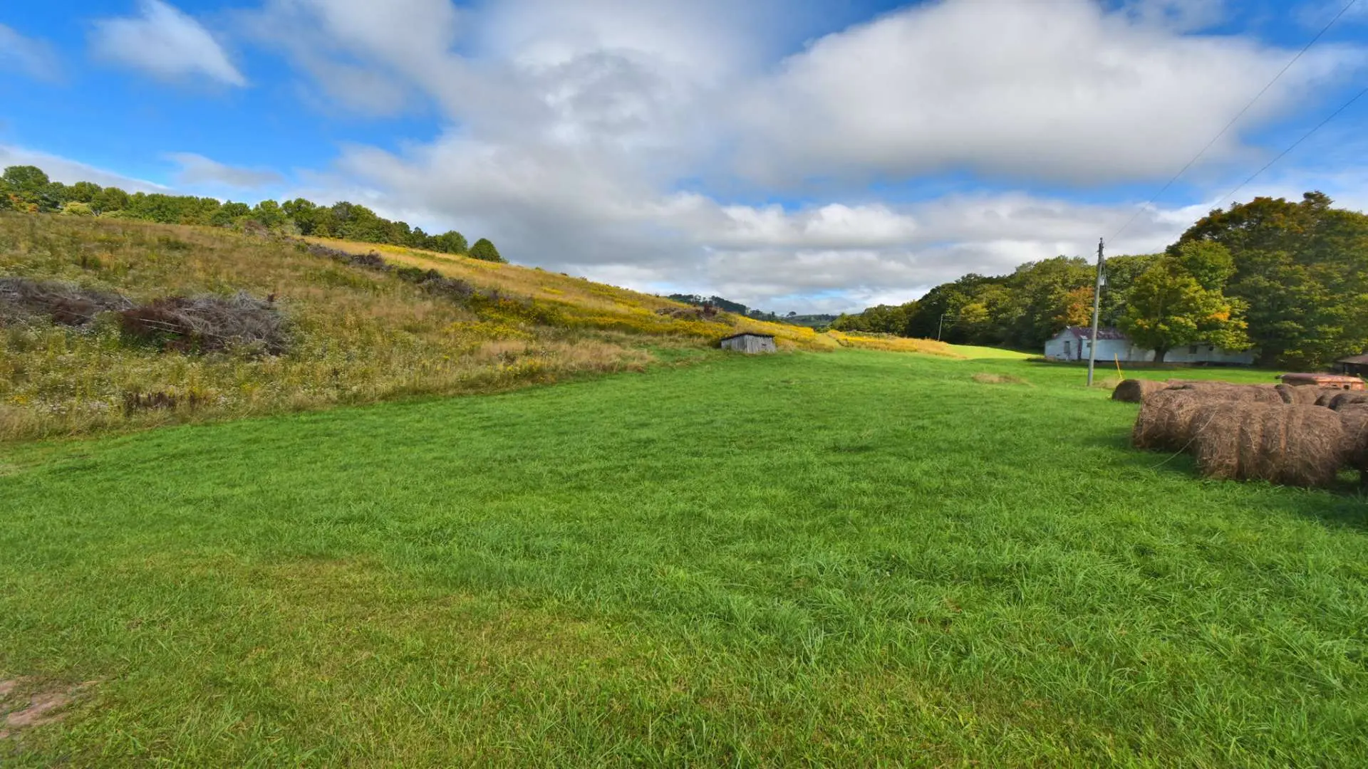 Image number 2 for the current listing